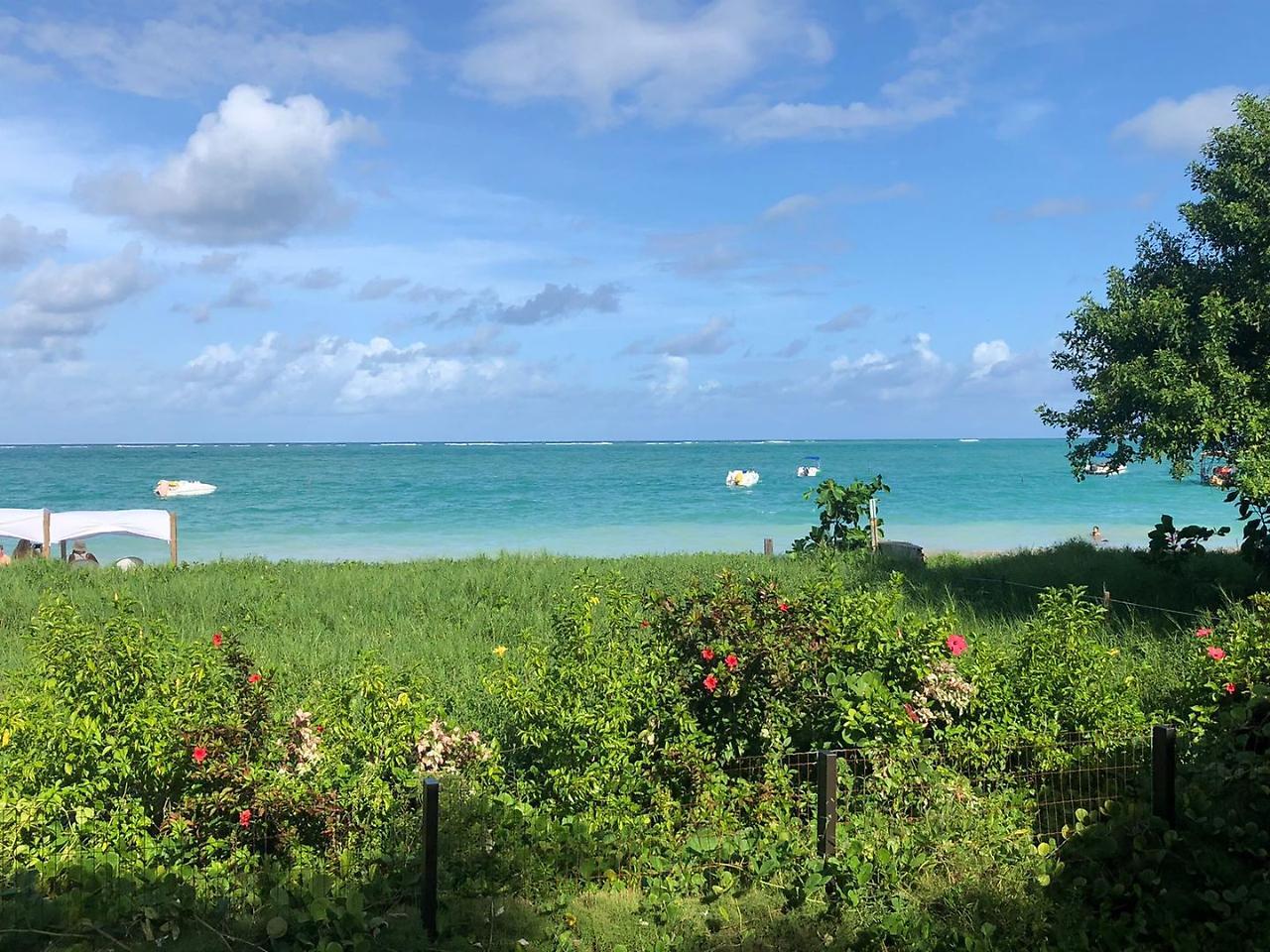 Pousada Ponta De Mangue マラゴージ エクステリア 写真