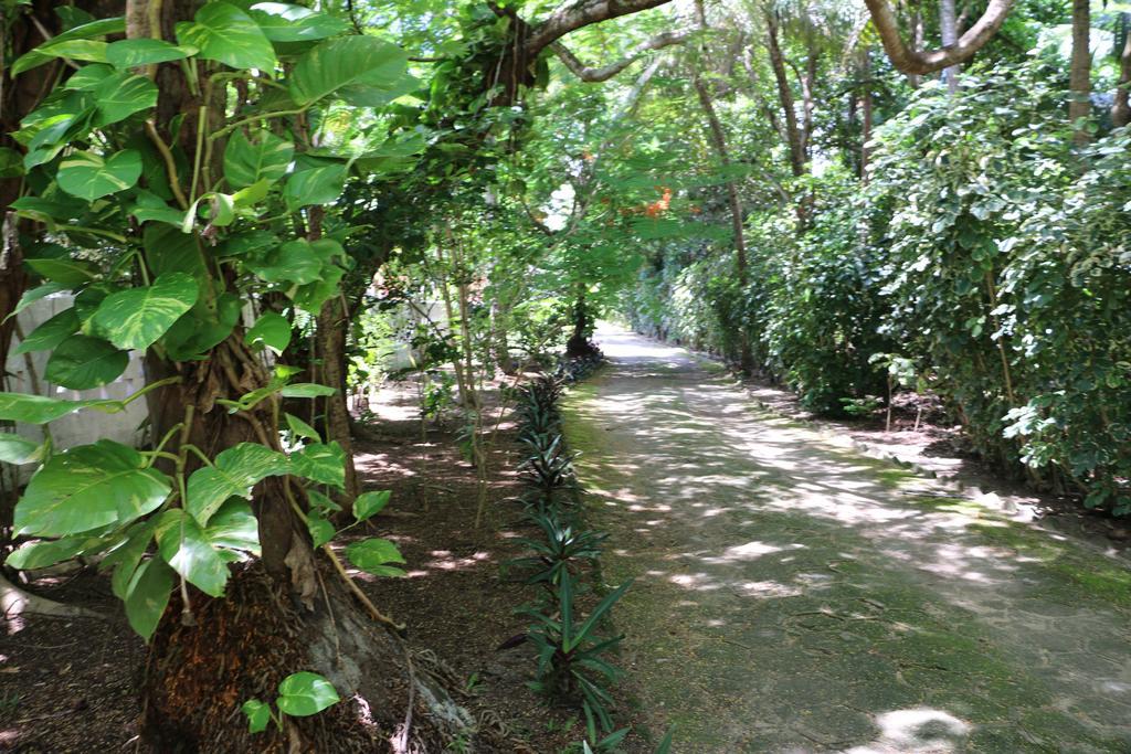 Pousada Ponta De Mangue マラゴージ エクステリア 写真